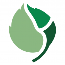 Green Columbus Avatar