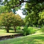 Adams-Hemphill Neighborhood Park Mulching & Creek Cleanu