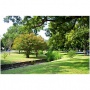 Adams-Hemphill Park Creek Cleanup and Tree Mulching