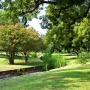 Adams-Hemphill Neighborhood Park Mulching & Creek Cleanup