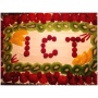 International Culture Team ICT