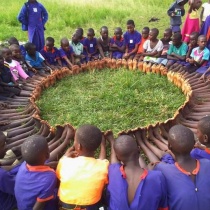 Covenant Orphanage Home's Urgent Appeal for Donation to Help Feed the Orphans and Vulnerable Children in Uganda logo