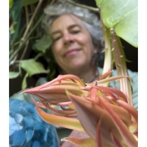 Rene Marie Keep Avatar