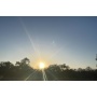 Elizabeth T.'s profile photo