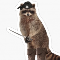 MJ Ham