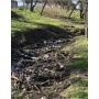Country Club Creek Cleanup-Montopolis