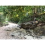 Red Bluff creek clean up