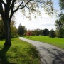 Paint/Litter pick up at Brackenridge Park