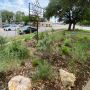 It's My Park Day at South Austin Island Park