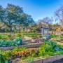 Help Mahncke Garden!