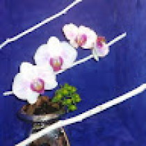 Jacqueline Williams Avatar