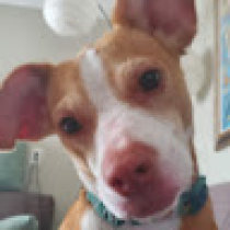 Jenna Pieczonka Avatar