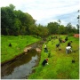 UA Creek Restoration Tour