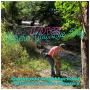 Keep Austin Beautiful Southwood Neighborhood Williamson Creek Adopters Love Where You Live Day Cleanup