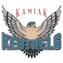 Kamiak elementary school volunteer event