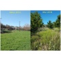 Neighborhood Stewardship of "south" Zilker Park