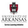 Service Learning Initiative
