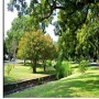 Adams-Hemphill Park Tree Mulching & Creek Cleanup