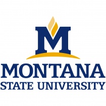 Registered Student Organizations logo