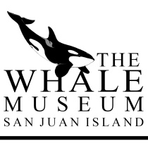 The Whale Museum logo