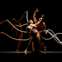 PILOBOLUS