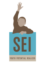 Self Enhancement Inc. logo