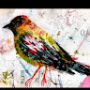 Rene' Canalis