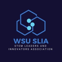 STEM Leaders and Innovators Association logo