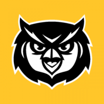 KSU Student Volunteerism & Service Avatar