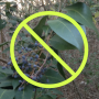 Walnut Creek Metro Park Privet Party