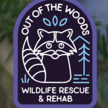 Out of the Woods Wildlife Rescue & Rehab logo