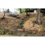 Native Planting at Adohi Branch