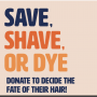 Thumbnail for CJ Davis SAVE, SHAVE, DYE
