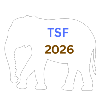 Tisch Summer Fellows 2026 logo