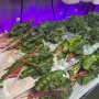 Panther Farms Volunteering