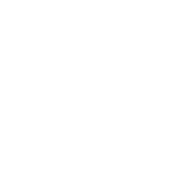 Sea Turtle Oversight Protection logo