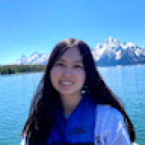 Sheera Wang Avatar