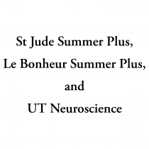 Summer Plus Fellowships logo