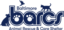 Dog Walking and Enrichment logo