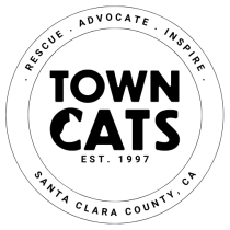 Welcome to Town Cats - Main Hub Group logo