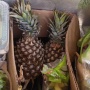 Glean Team - Diverting Food From Landfills