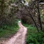 Build a New Trail at Country Club Creek Greenbelt