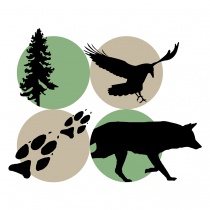 Cascadia Wild logo