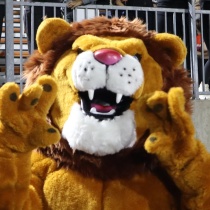 Gravette Lion Avatar
