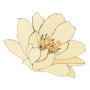 Botanical Garden Internship