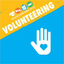 Volunteering logo