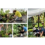 Volunteer Coordinator