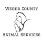 Weber County's Photo