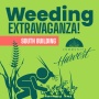 Weed Removal Party