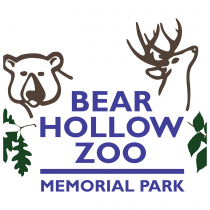 Bear Hollow Zoo logo
